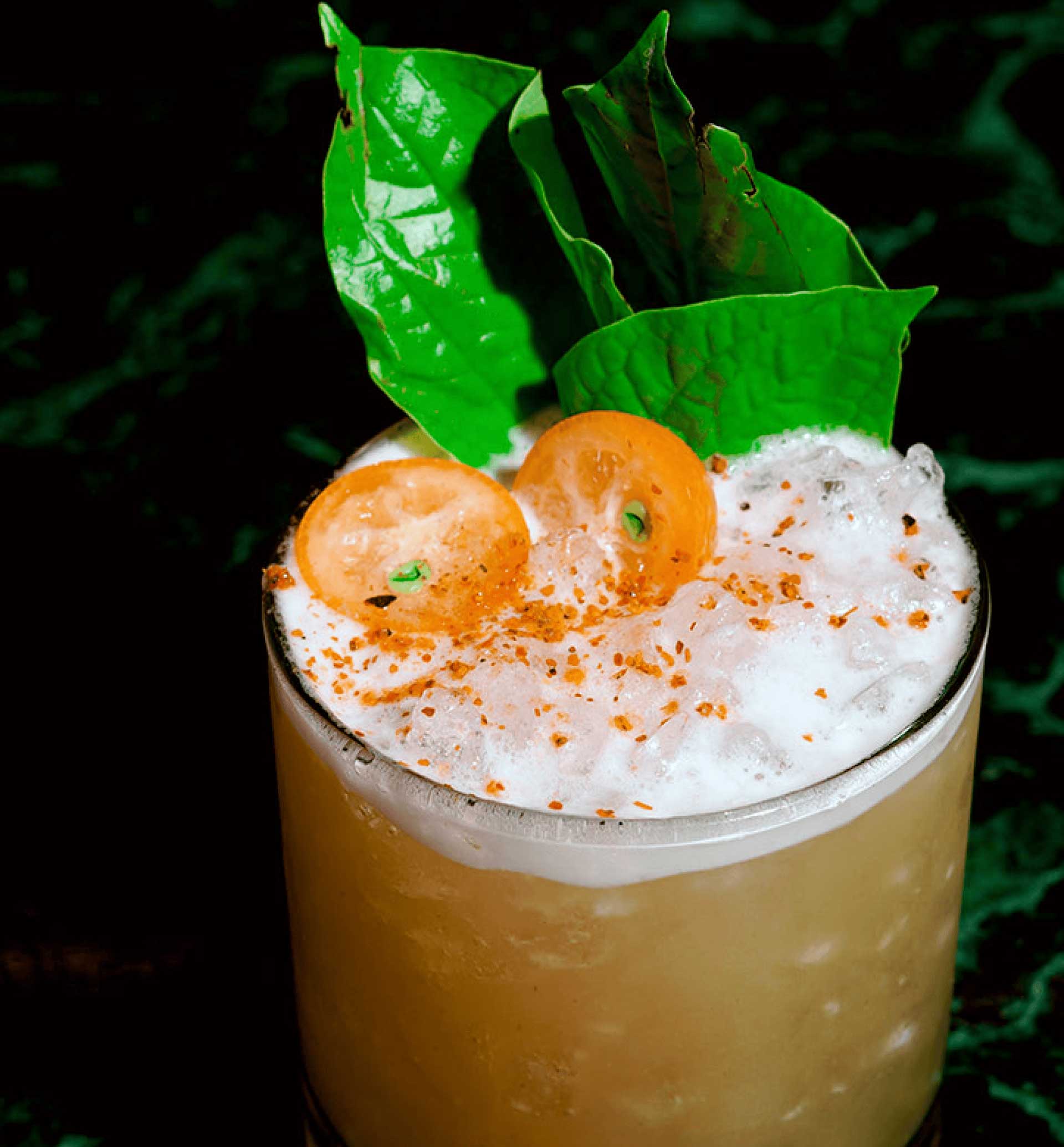 Orange cocktail with leaves