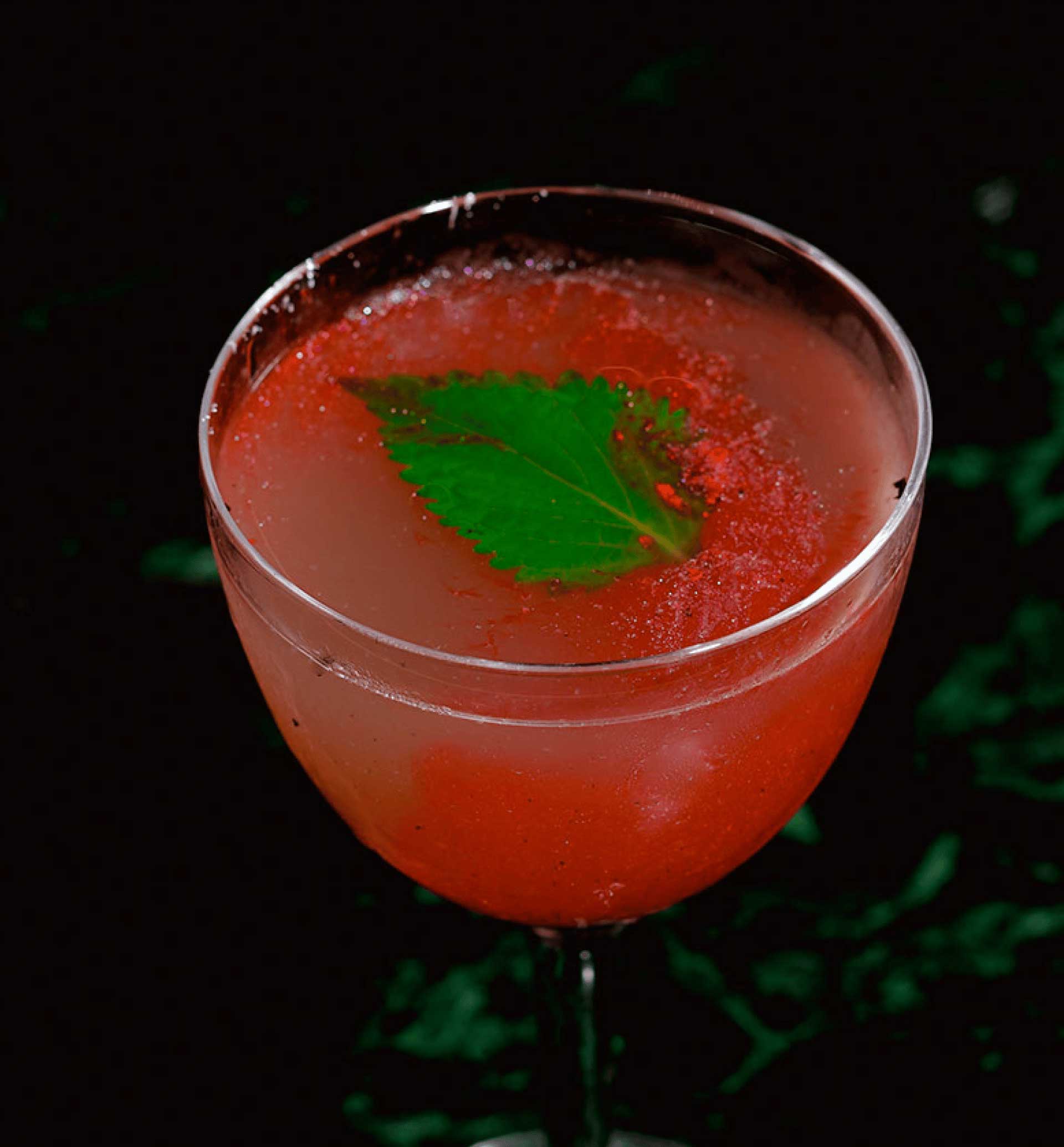 Red cocktail with leaf